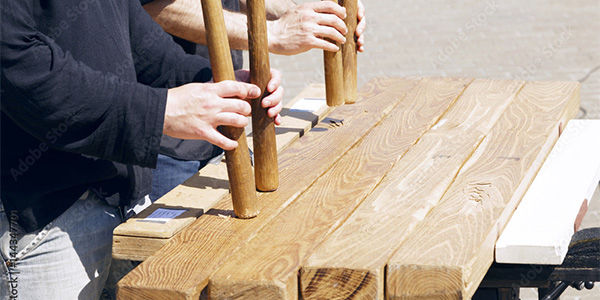 Taller de cetrería