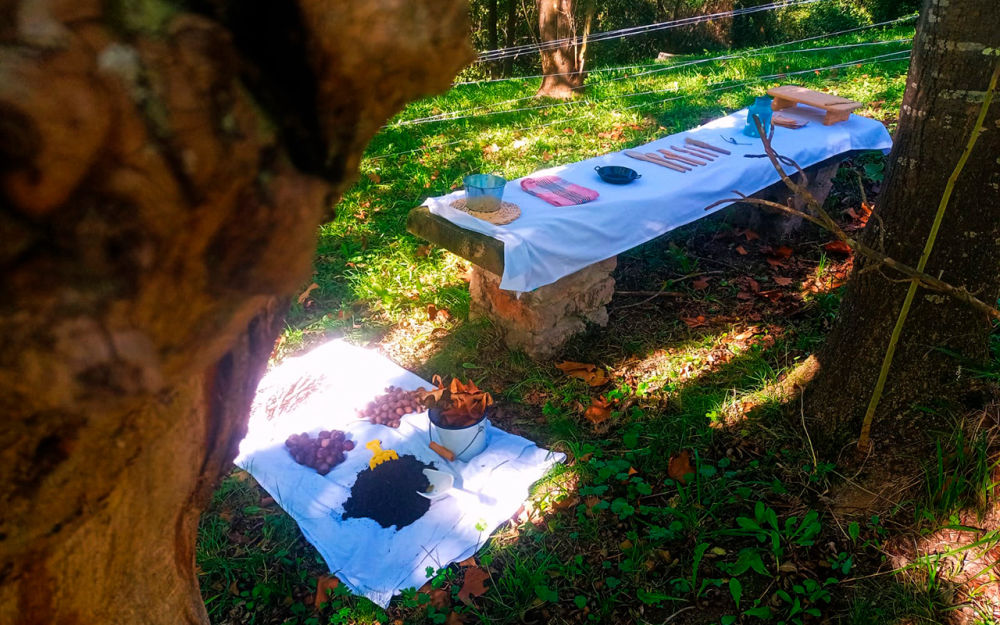 Campamento Maravillas